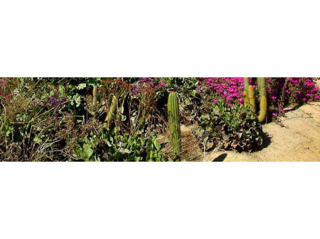 Test-Produkt 1